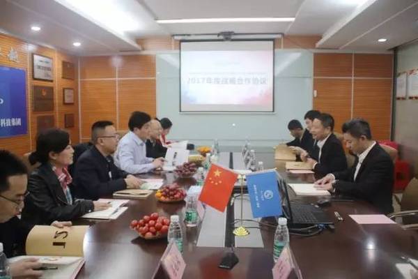 保险公司支公司总经理 保险公司t4总经理