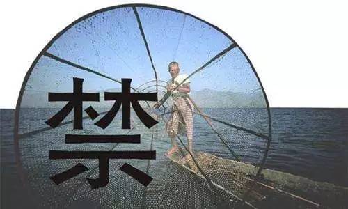 两会视点 十年全面禁渔,能拯救长江吗?