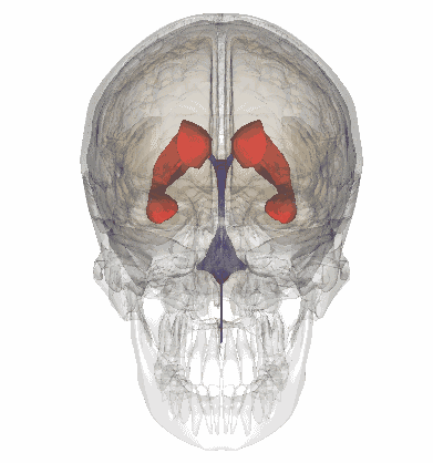 391_418gif 动态图 动图