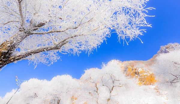 镜头下的松花江 一江寒水清 两岸琼花凝 旅游频道 手机搜狐