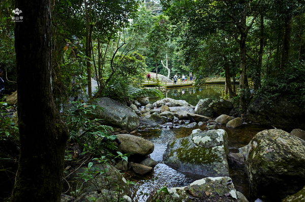 【海南】探秘五指山,穿越海南之巔熱帶雨林