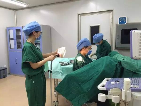 目前世界上普遍使用18g或19g取卵针进行取卵手术.