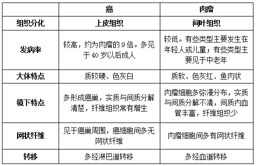 癌与肉瘤的区别到底是什么呢 教育频道 手机搜狐