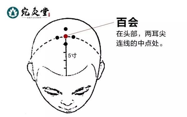 艾灸知识 脑动脉硬化 艾灸能舒筋活血 健康频道 手机搜狐