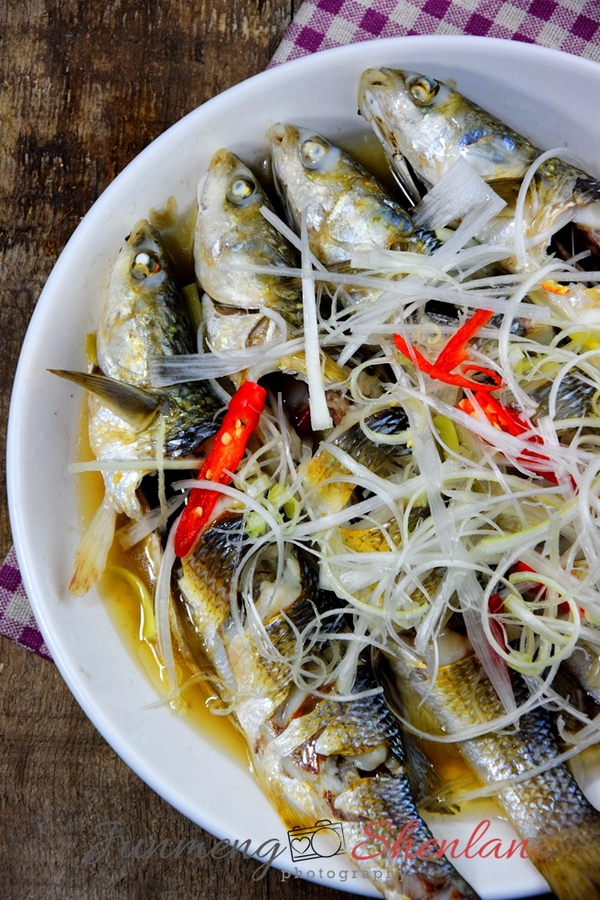 清蒸梭鱼—-开春第一鲜