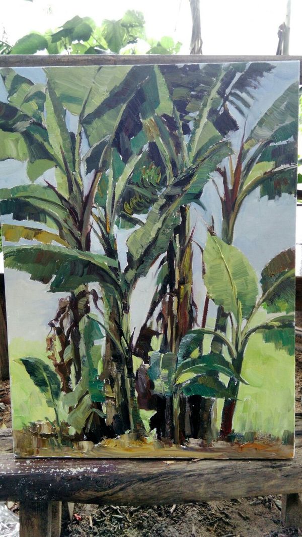《芭蕉树》大鹏文化村写生,油画,60x80cm