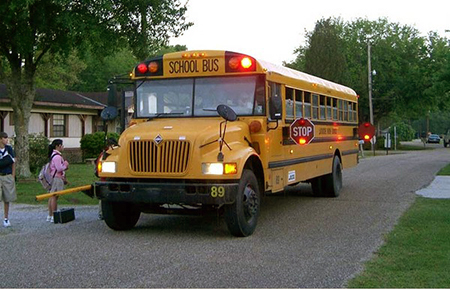 法国:想当校车司机?要求可高了