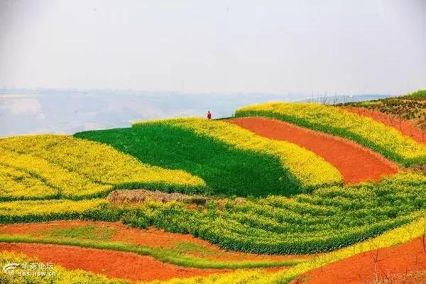 全域旅游在蓝田(2:中国的普罗旺斯—鲍旗寨