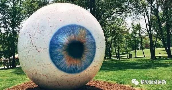 saint louis 必须要去laumeier sculpture park 看看巨人的眼球.