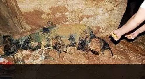 ufo?四川惊现百年清朝老尸 已确认为僵尸