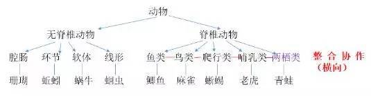 奥苏贝尔有意义学习理论如何理解 教育频道 手机搜狐