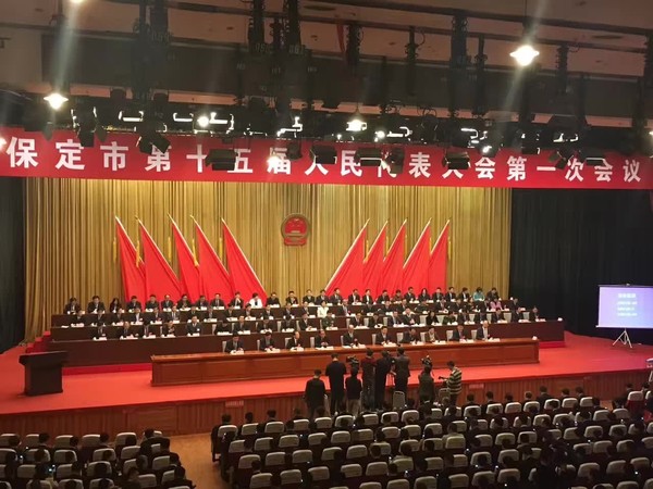 保定两会,听代表委员讲述河北新发地的责任和担当