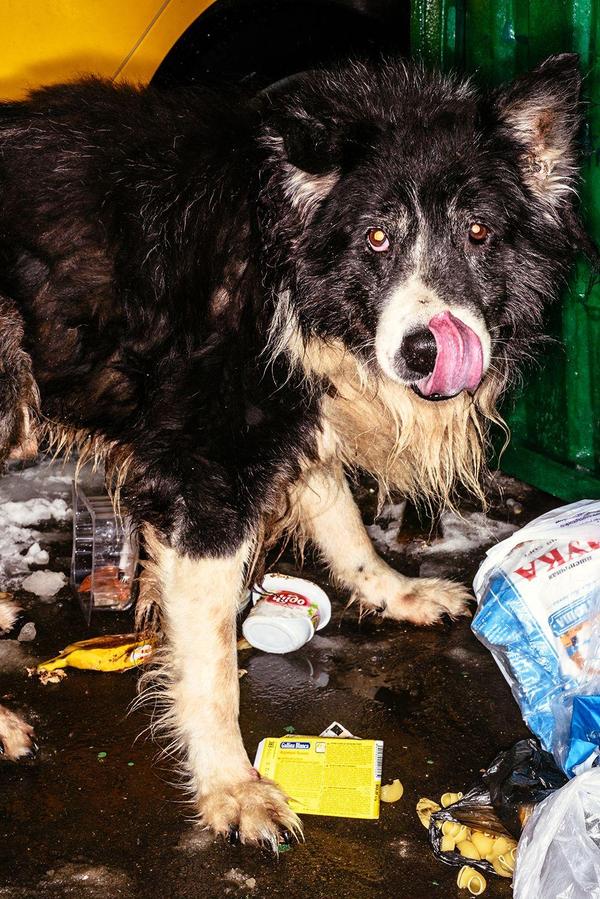 比如:东正教,皮草,ak47,伏特加