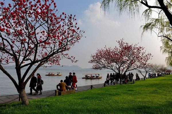 西湖春天 郑州图片