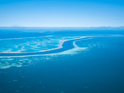 世界上最大最深的海