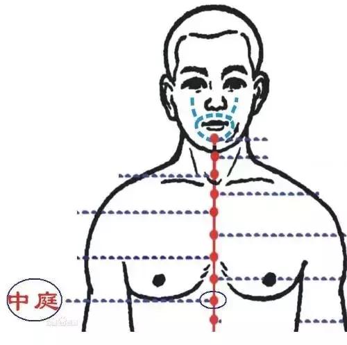 剑胸结合中点图片