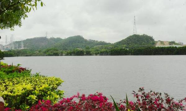 寶安這個公園厲害了,賞花,觀景,遊山,玩水,賽龍舟這裡都有!