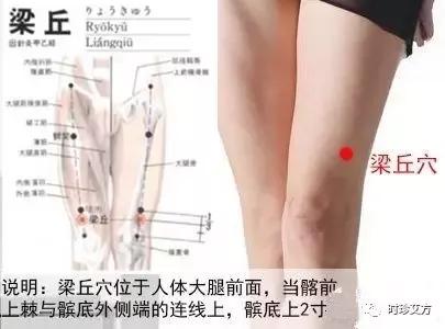 梁丘穴 缓解治疗膝胫痹痛 胃痛 胃痉挛 腹泻 健康频道 手机搜狐