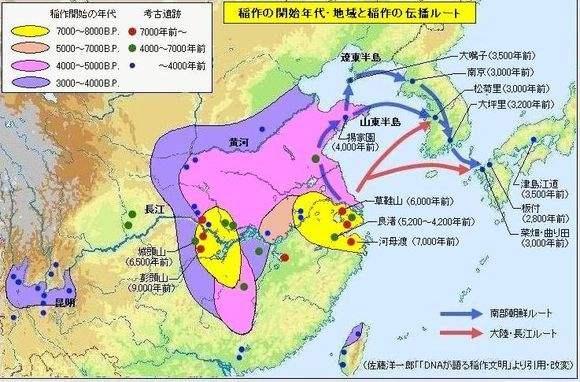 手机搜狐