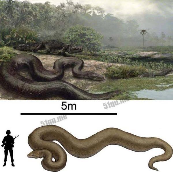 十大已灭绝的蛇图片