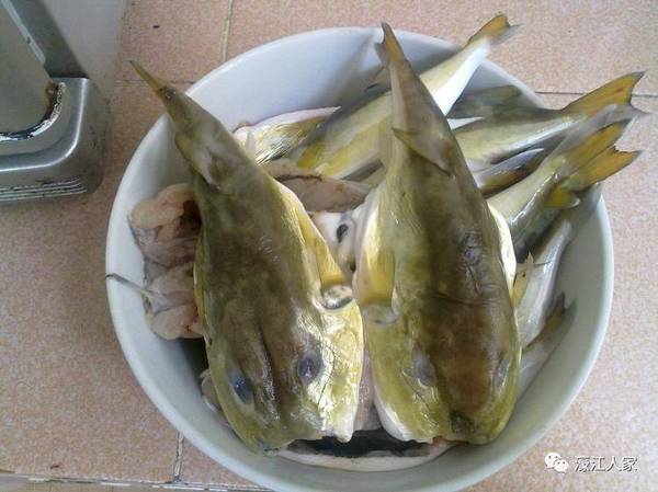 幸!达濠黄某人差点命丧"乖鱼"