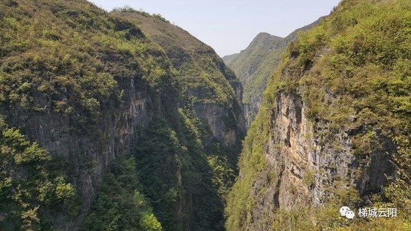 近日,一篇名為 《雲陽縣故陵鎮蘭草村附近有一個黃金峽》刷爆了雲陽人