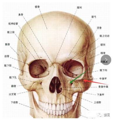 當然,僅僅是骨骼平,還不至於會有那麼嚴重的衰老感.