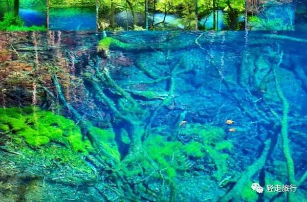 神秘之湖 青池的透明度竟达到9米 旅游频道 手机搜狐