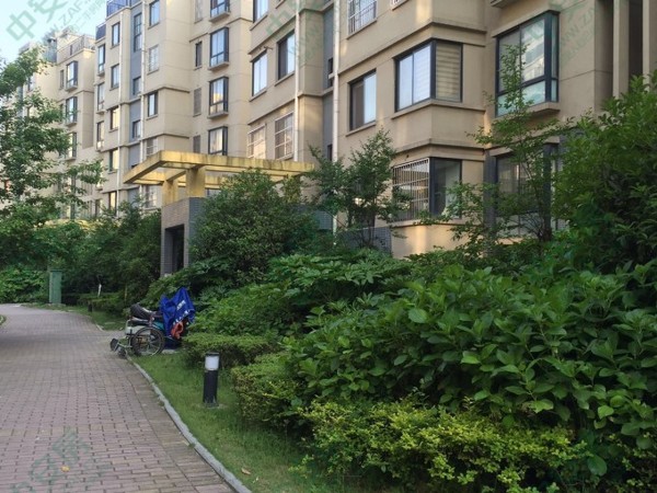 新景花园小区测评 地铁口房源 绿化品质安全性能高