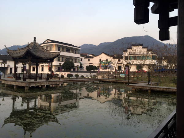 草塔镇上下文村 电话87761816