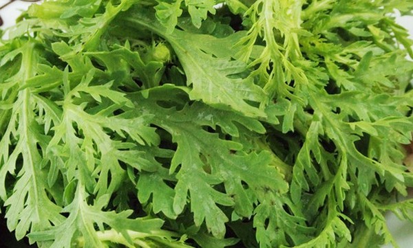 "皇帝菜"茼蒿可蒸可涮,其实还是很好的一味中药