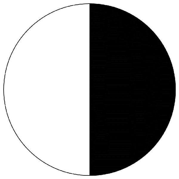 这个圆圈里要么全部被黑色填满,要么全部被白色填满