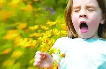 清明出游花粉过敏怎么办 教你5个预防妙招 新闻频道 手机搜狐