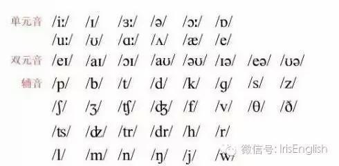 26个英语元音辅音表