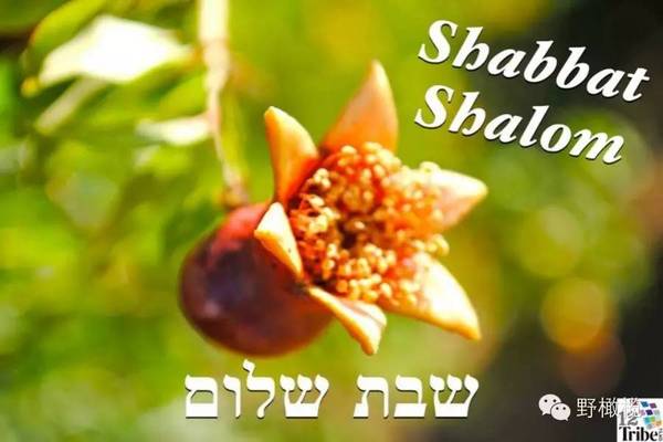 膏油馨香 大福祷告词一天祷告一次 一年后 会发生什么 教育频道 手机搜狐