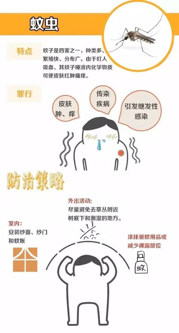 春夏之交 这些要命的虫子 你可得当心 健康频道 手机搜狐