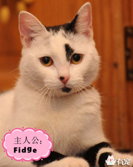 真正的踩奶使我躲过了恶性肿瘤