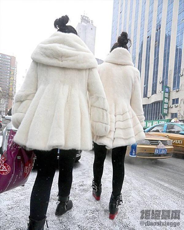 真的,就连去菜市场买菜的老大妈都会穿着一件貂皮招摇过市.