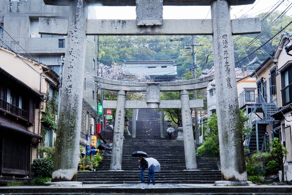 日本长崎最美神社 四月樱花落了一地 旅游频道 手机搜狐 日本长崎最美神社 四月樱花落了一地 旅游频道 手机搜狐