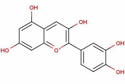 逆天神奇的花青素 你值得拥有 健康频道 手机搜狐