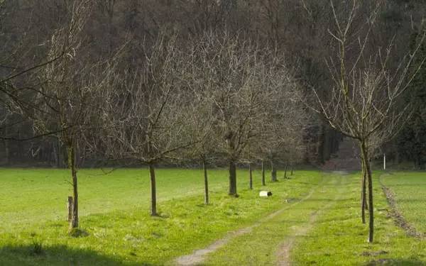 英语 更想走 期望路线 教育频道 手机搜狐