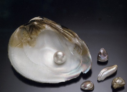 解密,澳洲南洋白珍珠,为什么被称为珍珠之王