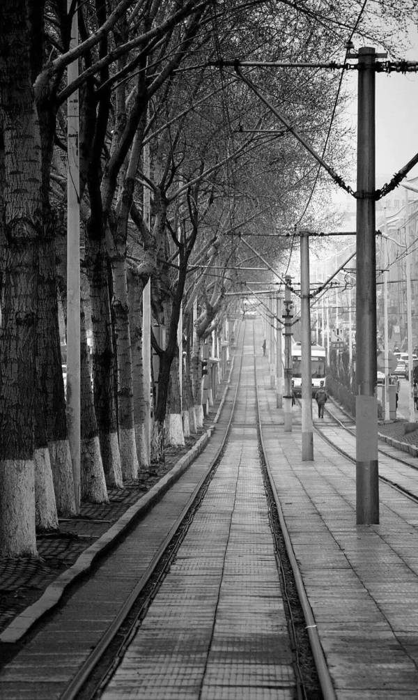 藏在一张照片里的故事 | 方寸?流年作品展