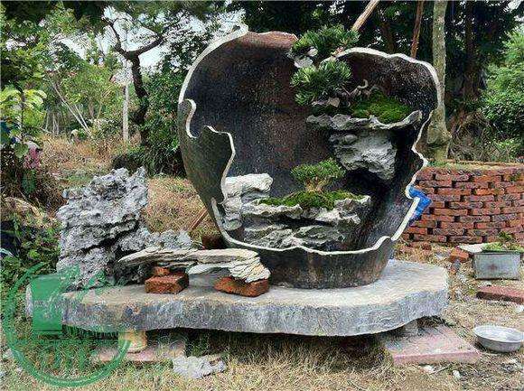 制作者运用了国画的构图理念,实践在水旱盆景的立体构图布局上,一各种