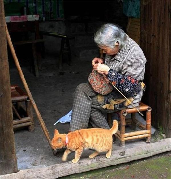 以前,家人穿的毛衣,大都是家里的妇女,一针一针织出来的,一件衣服倾注