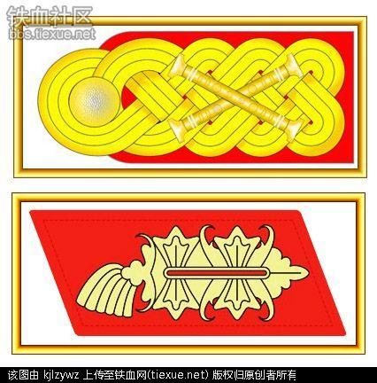 探究二战纳粹德国军官军衔颜色之谜 历史频道 手机搜狐