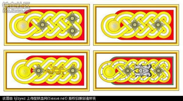 探究二战纳粹德国军官军衔颜色之谜 历史频道 手机搜狐