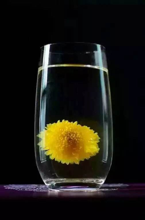 内乡:一片叶一朵花的扶贫力量 成就郦邑贡菊品牌