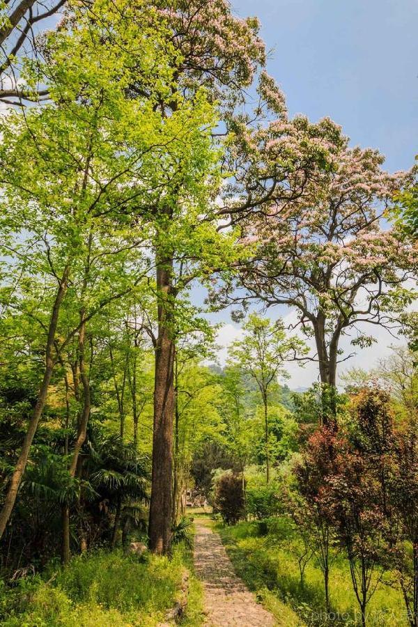 是千柱屋开始建造便非常重视的砖雕--千柱屋正厅照壁上的《百马图》