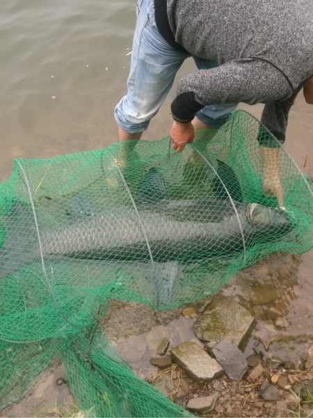 駐紮水庫釣魚30天釣大魚,發電機組都搬過來了!